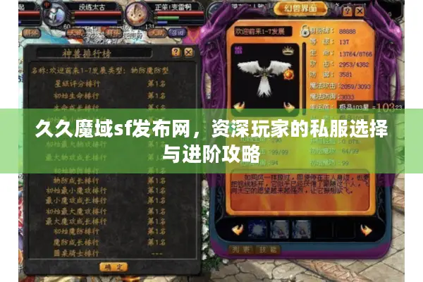 久久魔域sf发布网，资深玩家的私服选择与进阶攻略