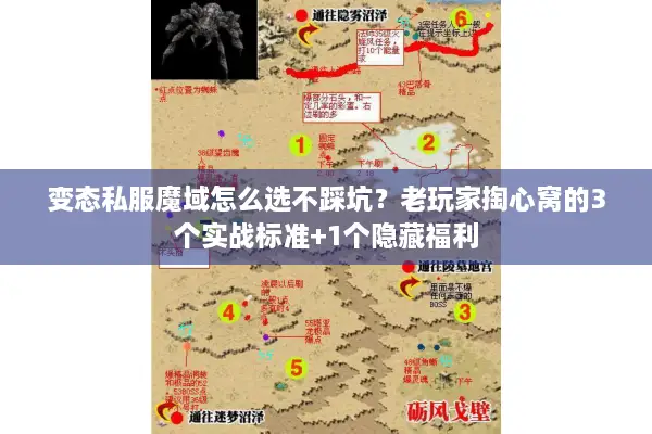 变态私服魔域怎么选不踩坑?老玩家掏心窝的3个实战标准+1个隐藏福利 变态私服魔域怎么选不踩坑?老玩家掏心窝的3个实战标准+1个隐藏福利