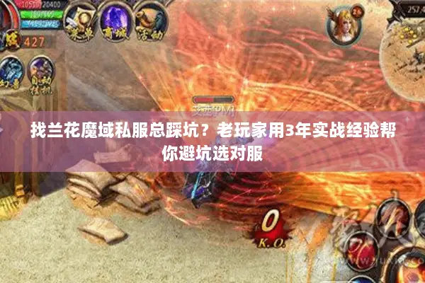 找兰花魔域私服总踩坑？老玩家用3年实战经验帮你避坑选对服