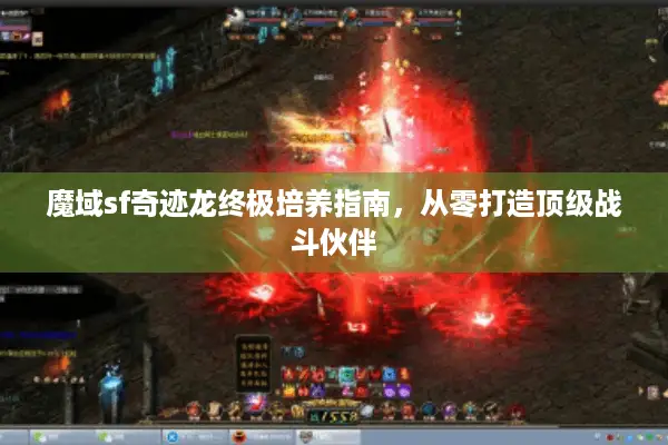 魔域sf奇迹龙终极培养指南，从零打造顶级战斗伙伴
