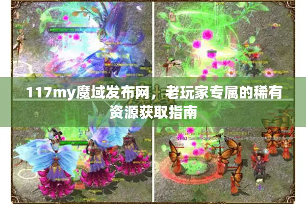 117my魔域发布网，老玩家专属的稀有资源获取指南