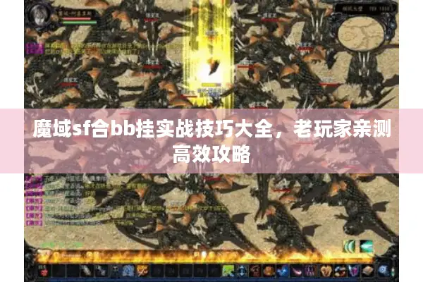 魔域sf合bb挂实战技巧大全，老玩家亲测高效攻略
