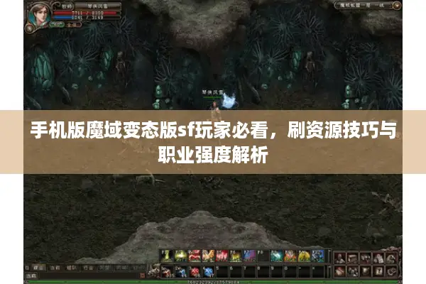 手机版魔域变态版sf玩家必看，刷资源技巧与职业强度解析