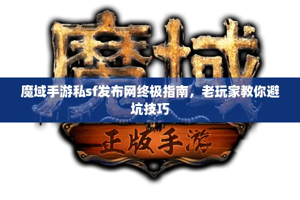 魔域手游私sf发布网终极指南，老玩家教你避坑技巧