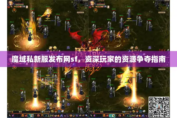 魔域私新服发布网sf，资深玩家的资源争夺指南