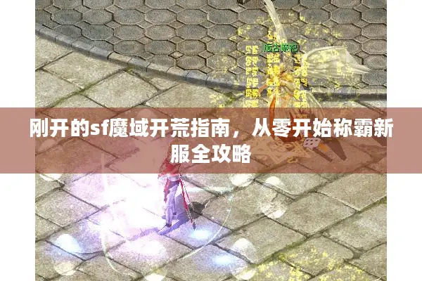刚开的sf魔域开荒指南，从零开始称霸新服全攻略