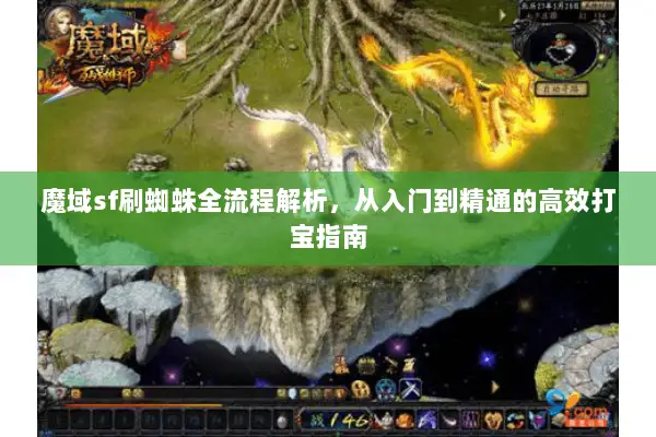 魔域sf刷蜘蛛全流程解析，从入门到精通的高效打宝指南