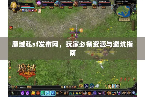 魔域私sf发布网，玩家必备资源与避坑指南