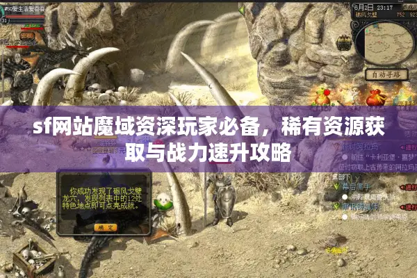 sf网站魔域资深玩家必备，稀有资源获取与战力速升攻略