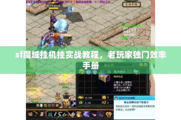 sf魔域挂机挂实战教程，老玩家独门效率手册