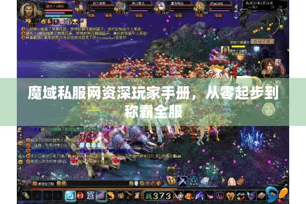 魔域私服网资深玩家手册,从零起步到称霸全服 魔域私服网资深玩家手册,从零起步到称霸全服