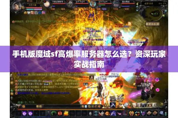 手机版魔域sf高爆率服务器怎么选？资深玩家实战指南