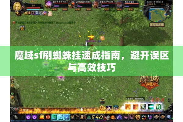 魔域sf刷蜘蛛挂速成指南，避开误区与高效技巧