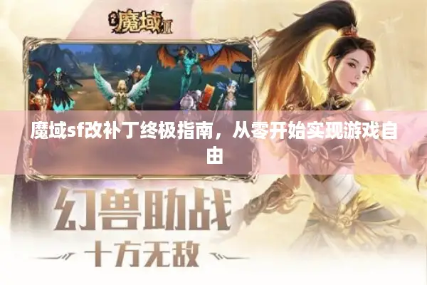 魔域sf改补丁终极指南，从零开始实现游戏自由