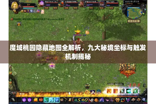 魔域桃园隐藏地图全解析，九大秘境坐标与触发机制揭秘