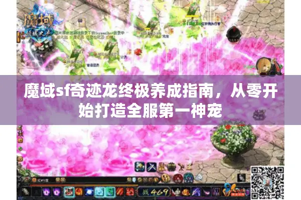 魔域sf奇迹龙终极养成指南，从零开始打造全服第一神宠
