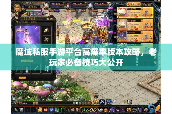 魔域私服手游平台高爆率版本攻略，老玩家必备技巧大公开