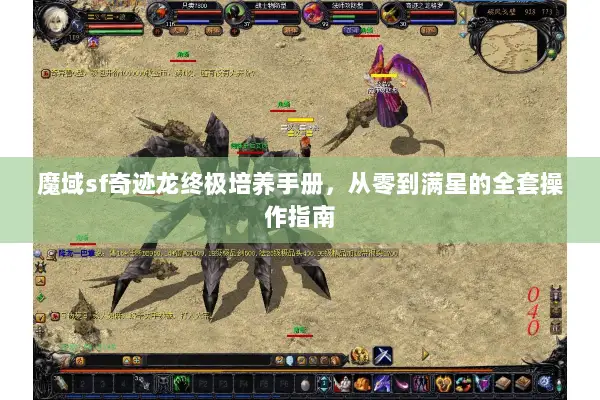 魔域sf奇迹龙终极培养手册，从零到满星的全套操作指南