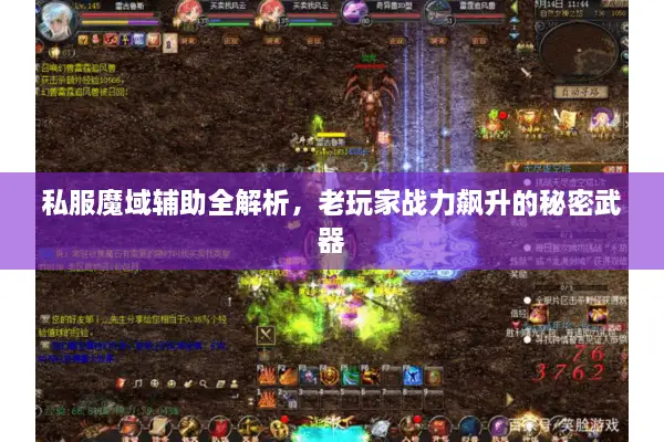 私服魔域辅助全解析，老玩家战力飙升的秘密武器