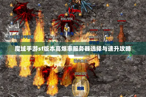 魔域手游sf版本高爆率服务器选择与速升攻略