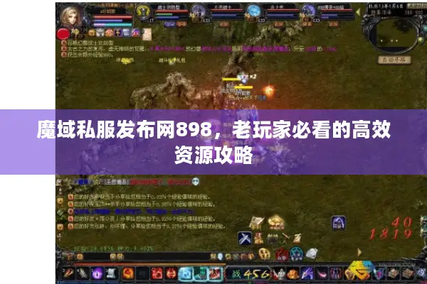 魔域私服发布网898，老玩家必看的高效资源攻略