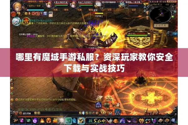 哪里有魔域手游私服？资深玩家教你安全下载与实战技巧