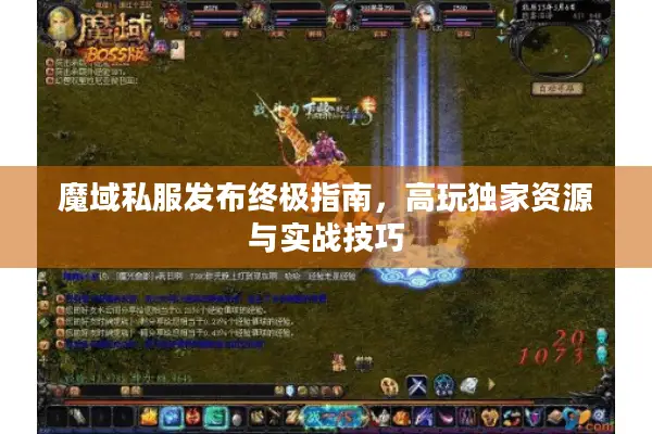 魔域私服发布终极指南，高玩独家资源与实战技巧