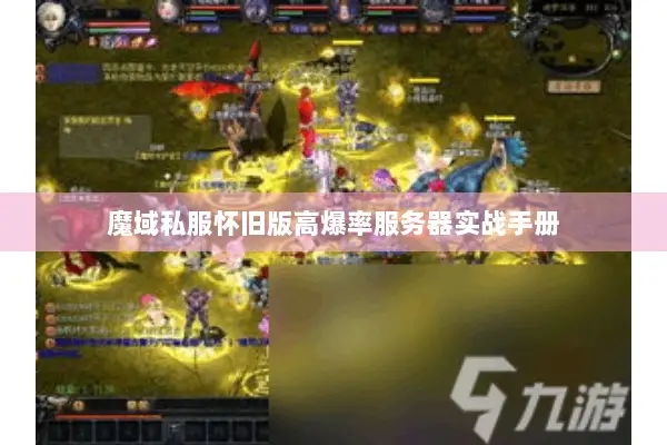 魔域私服怀旧版高爆率服务器实战手册