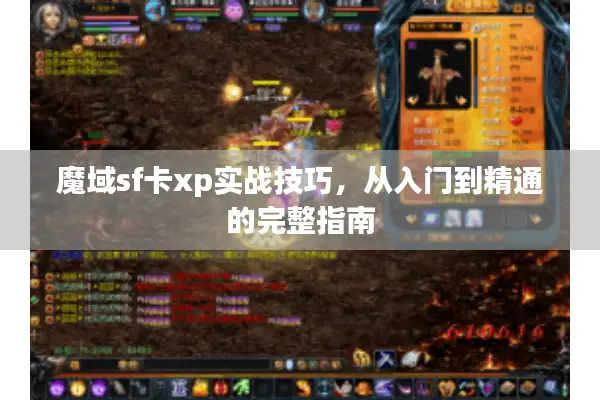 魔域sf卡xp实战技巧，从入门到精通的完整指南