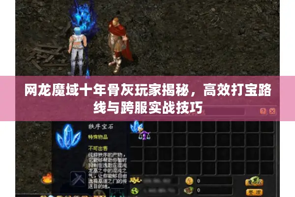 网龙魔域十年骨灰玩家揭秘，高效打宝路线与跨服实战技巧