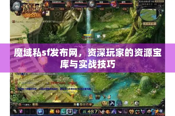 魔域私sf发布网，资深玩家的资源宝库与实战技巧