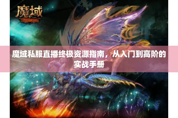 魔域私服直播终极资源指南，从入门到高阶的实战手册