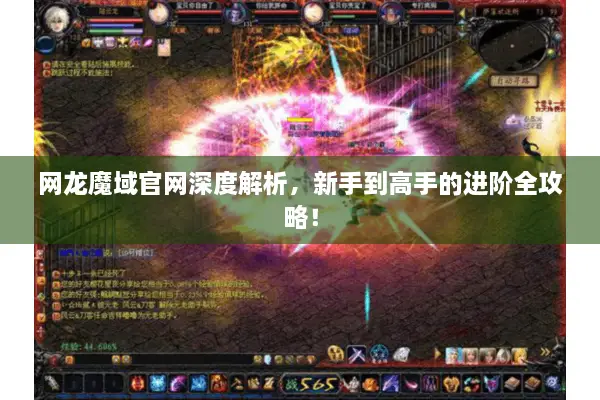 网龙魔域官网深度解析，新手到高手的进阶全攻略！