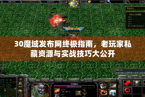 30魔域发布网终极指南，老玩家私藏资源与实战技巧大公开