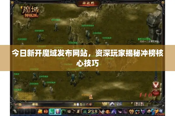 今日新开魔域发布网站，资深玩家揭秘冲榜核心技巧