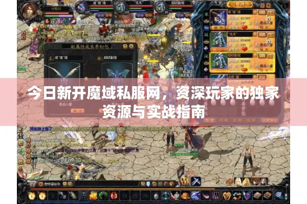 今日新开魔域私服网，资深玩家的独家资源与实战指南