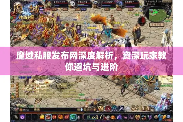 魔域私服发布网深度解析，资深玩家教你避坑与进阶