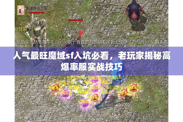 人气最旺魔域sf入坑必看,老玩家揭秘高爆率服实战技巧 人气最旺魔域sf入坑必看,老玩家揭秘高爆率服实战技巧