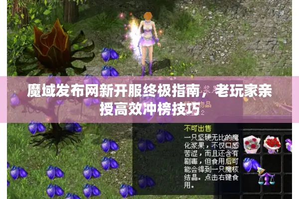 魔域发布网新开服终极指南，老玩家亲授高效冲榜技巧