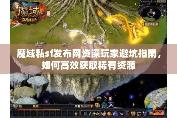魔域私sf发布网资深玩家避坑指南，如何高效获取稀有资源