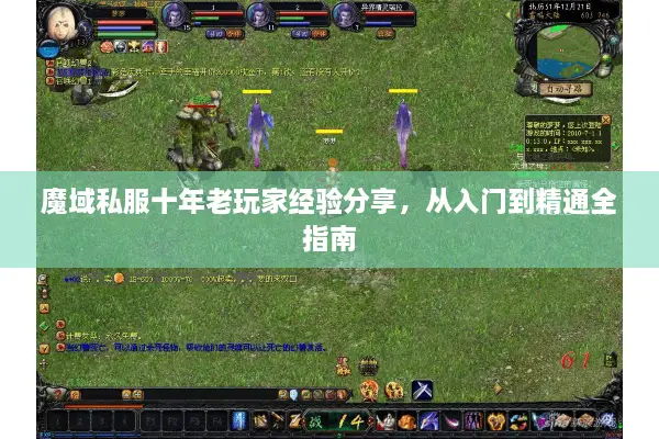 魔域私服十年老玩家经验分享,从入门到精通全指南 魔域私服十年老玩家经验分享,从入门到精通全指南