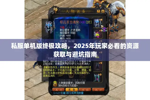私服单机版终极攻略,2025年玩家必看的资源获取与避坑指南 私服单机版终极攻略,2025年玩家必看的资源获取与避坑指南