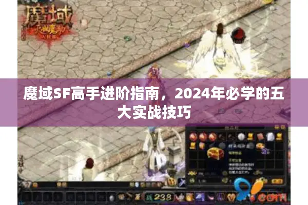 魔域SF高手进阶指南，2024年必学的五大实战技巧