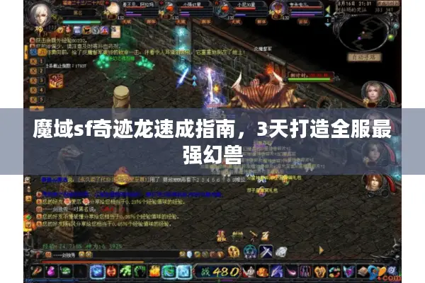 魔域sf奇迹龙速成指南，3天打造全服最强幻兽