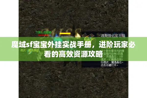 魔域sf宝宝外挂实战手册,进阶玩家必看的高效资源攻略 魔域sf宝宝外挂实战手册,进阶玩家必看的高效资源攻略