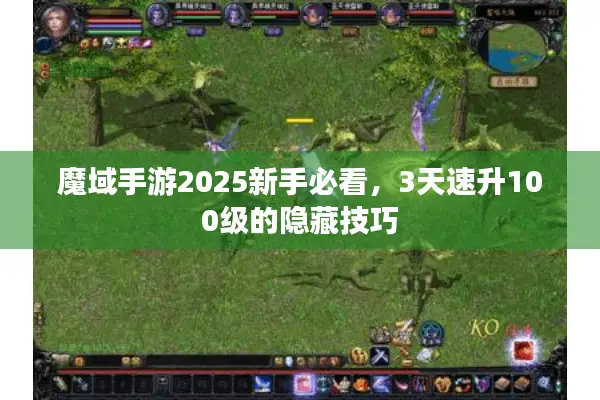 魔域手游2025新手必看，3天速升100级的隐藏技巧