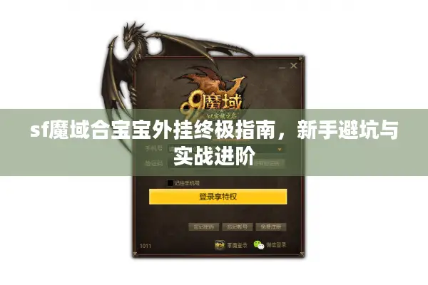 sf魔域合宝宝外挂终极指南,新手避坑与实战进阶 sf魔域合宝宝外挂终极指南,新手避坑与实战进阶