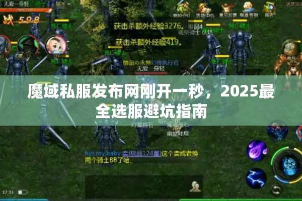 魔域私服发布网刚开一秒，2025最全选服避坑指南