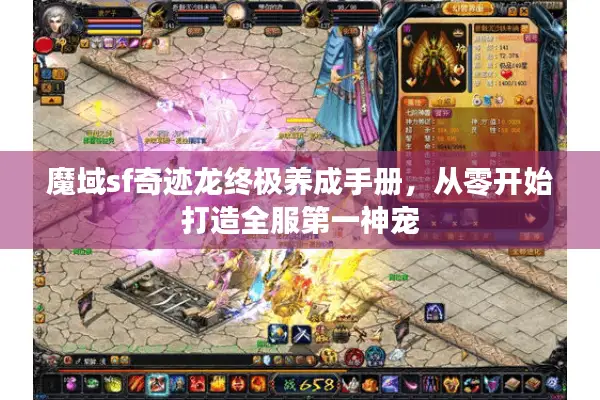 魔域sf奇迹龙终极养成手册，从零开始打造全服第一神宠