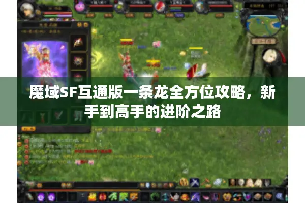 魔域SF互通版一条龙全方位攻略，新手到高手的进阶之路
